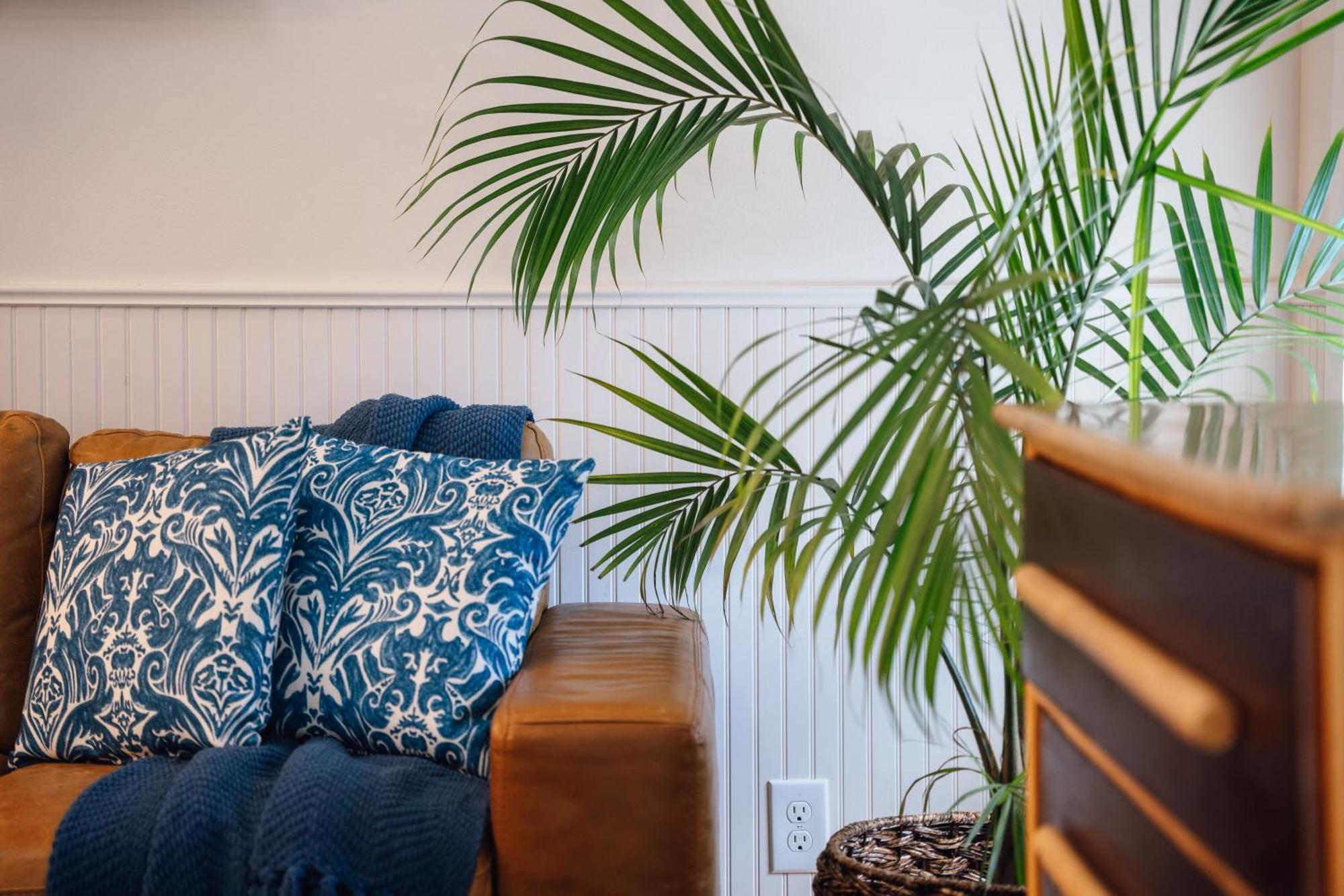 Swank Boutique Suites Ashland Bagian luar foto